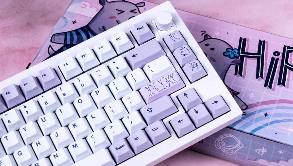 Uma Visão Geral dos Teclados Keychron Série Q e Q Pro
