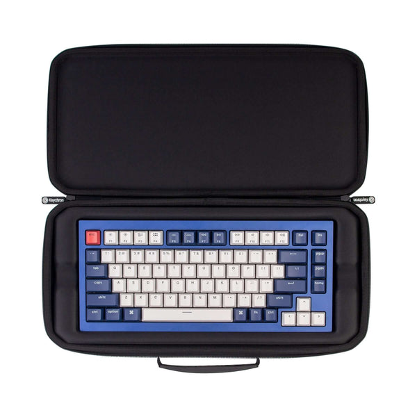 Case
