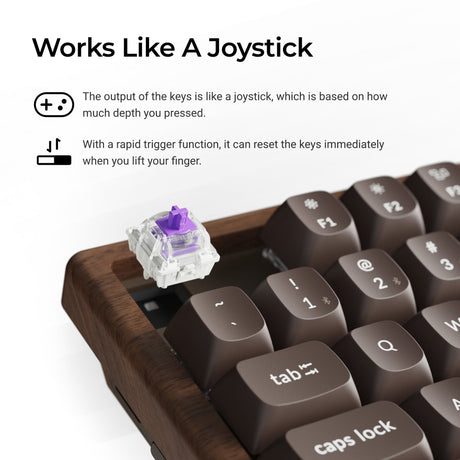 Magnetic keyboard switches provide pressure-sensitive input and rapid trigger response.